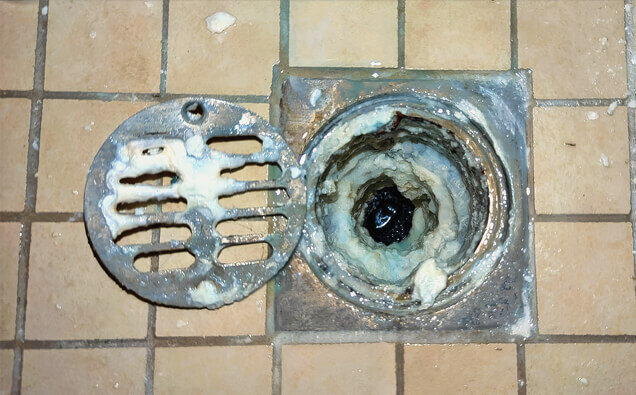 https://blockeddrainshamersley.com.au/uploads/2025/07/blocked-shower-drains-33151.jpg