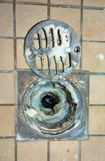 https://blockeddrainshamersley.com.au/uploads/2025/07/blocked-shower-drains-86331.jpg