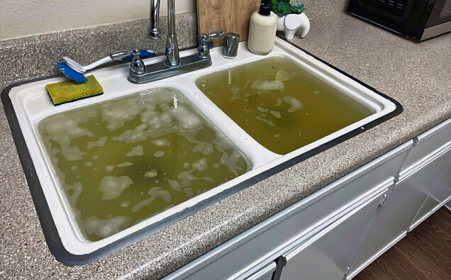 https://blockeddrainshamersley.com.au/uploads/2025/07/blocked-sink-36283.jpg