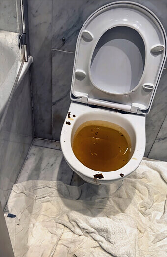 https://blockeddrainshamersley.com.au/uploads/2025/07/blocked-toilet-27793.jpg