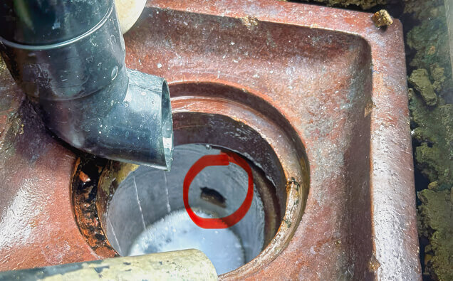 https://blockeddrainshamersley.com.au/uploads/2025/07/hero-blocked-sewers-17074.jpg