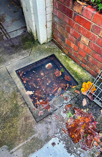 https://blockeddrainshamersley.com.au/uploads/2025/07/hero-blocked-sewers-27767.jpg